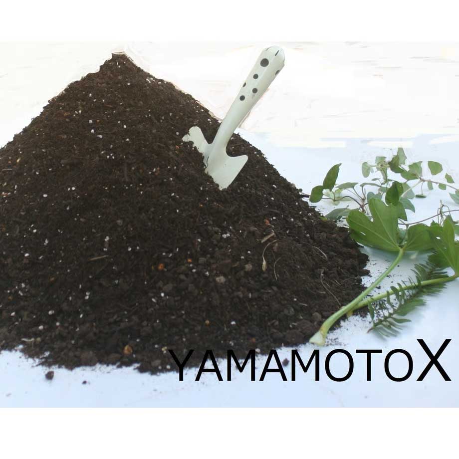 YAMAMOTO-X